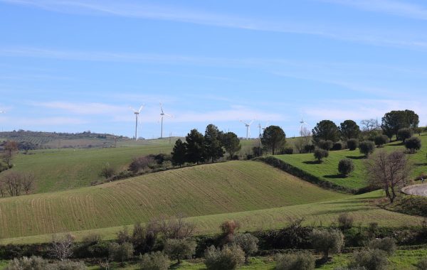 Eolici generatori di energia pulita